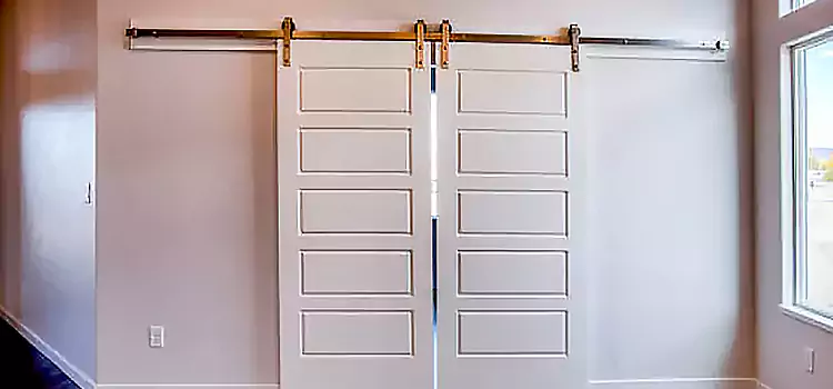 Glass Barn Door with Installation Hardware Kit Searcy