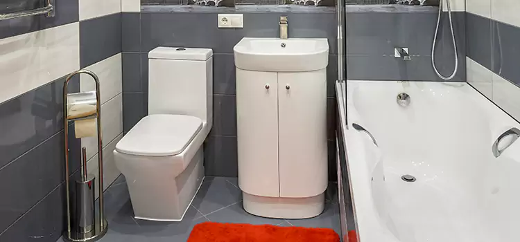 Hansgrohe Shaving Mirror Searcy